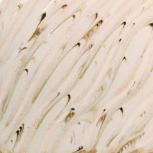 Load image into Gallery viewer, River Birch PCF-74 (16 Oz)
