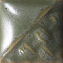 Load image into Gallery viewer, Green Tea SW-108 (16 Oz)