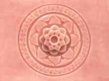 Load image into Gallery viewer, Cherry Blossom C-50 (16 Oz)