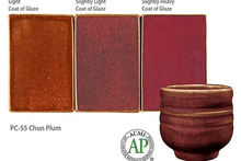 Load image into Gallery viewer, Chun Plum PC-55 (16 Oz)