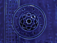 Load image into Gallery viewer, Cobalt C-20 (16 Oz)