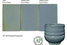 Load image into Gallery viewer, Frosted Turquoise PC-28 (16 Oz)