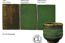 Load image into Gallery viewer, Seaweed PC-42 (16 Oz)