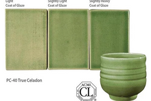 Load image into Gallery viewer, True Celedon PC-40 (16 Oz)