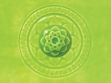 Load image into Gallery viewer, Wasabi C-43 (16 Oz)