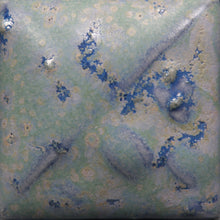 Load image into Gallery viewer, Robin’s Egg SW-116 (16 Oz)

