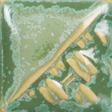 Load image into Gallery viewer, Ivy SW-193 (16 Oz)
