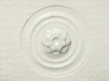 Load image into Gallery viewer, Snow C-10 (128 Oz / 1 Gallon)

